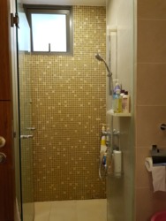 The Miltonia Residences (D27), Condominium #163029002